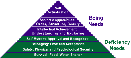 Maslow Hierarchy of Needs.gif