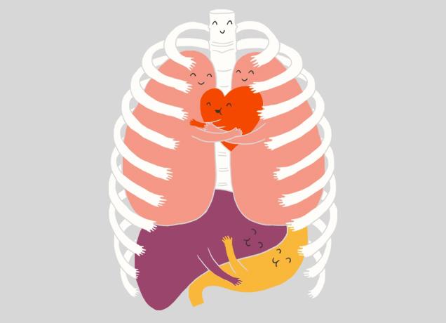 Happy organs.jpg