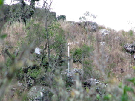 Antenna installed on the hill taken from the house.jpg