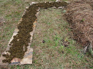 Sheet mulch garden bed 5.jpg