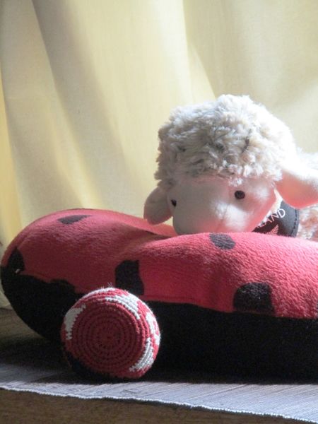 File:Lambinha wanting hacky.jpg