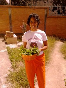 Spinach harvest.jpg