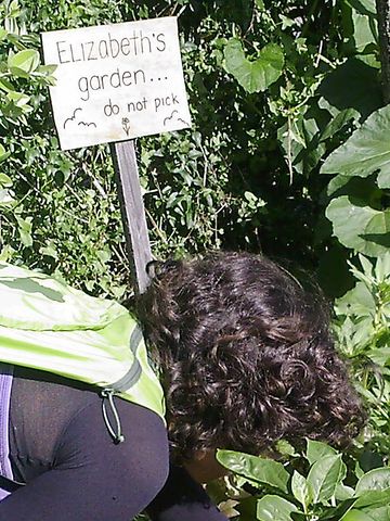 Elizabeths garden.jpg