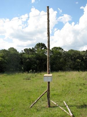 Pole with box.jpg