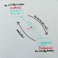 Activity-diagonal.jpg