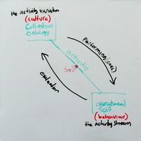 Activity-diagonal.jpg