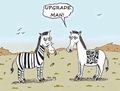 Zebra upgrade.jpg
