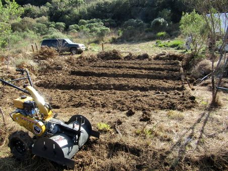 New garden beds in the field.jpg