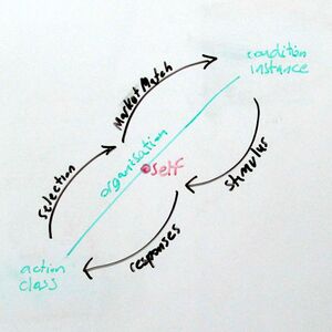 Organisation-sub-phases.jpg