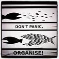 Organise.jpg