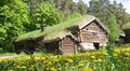 Log cabins with grass rooves.jpg