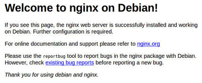 Nginx-success.jpg