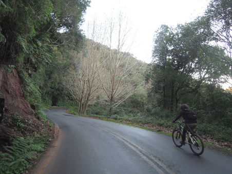 Bike ride with Eduardo 13.jpg