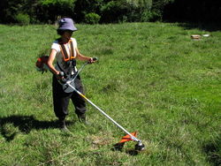 Beth testing new weedeater.jpg