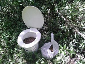 Toilet in bush.jpg