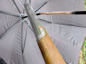 Antenna and umbrella 2.jpg