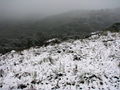 The hill in the snow 2.jpg