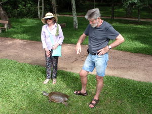 Mum & Dad with turtle.jpg