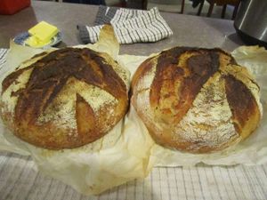 Sourdough Loaves Baked.jpg