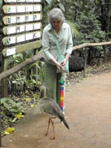 Foz bird park 8.jpg