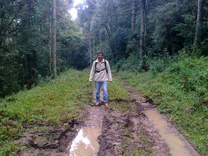 Barefoot on Vaca Velha trail.jpg