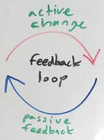 Feedback loop.jpg