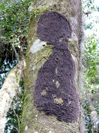 Caterpillar swarm 2.jpg