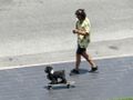 Skateboarding dog.jpg