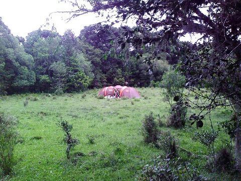 Tent in final location.jpg