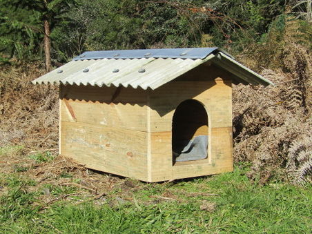 DogHouse1.jpg