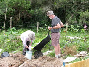 Dad & Mum putting lime on vege patch.jpg