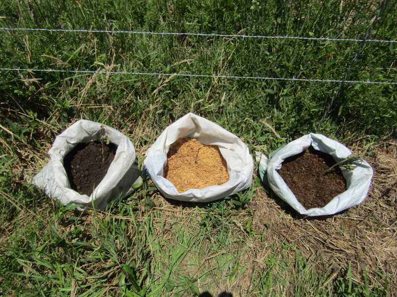 File:Kumara bags experiment.jpg