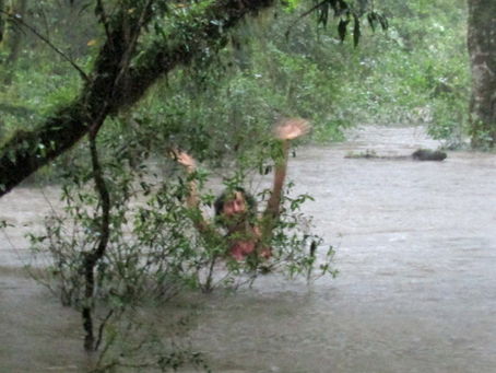 Beth on flooded road.jpg