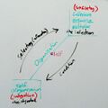 Organisation-diagonal.jpg