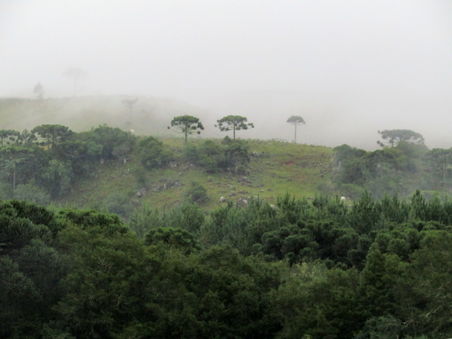 Mist coming down the hill.jpg