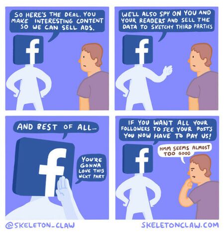 Facebook in a nutshell.jpeg