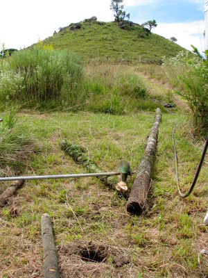 Net pole pulled out of ground.jpg
